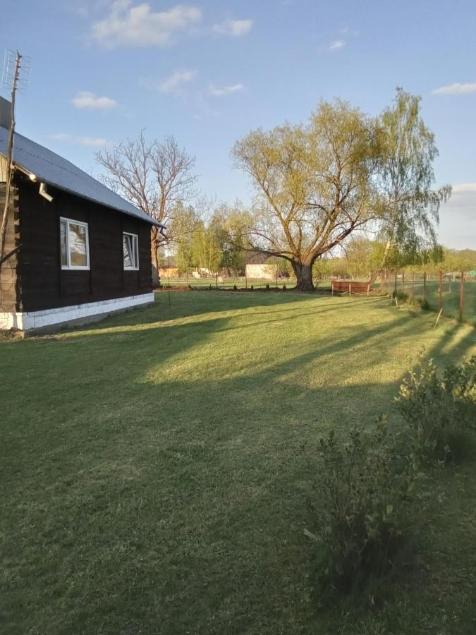 Domek U Kazi Sadowne Екстериор снимка